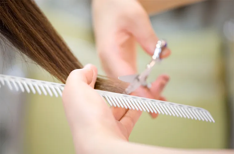 ���e���ŃJ�b�g