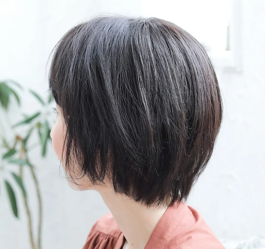 ��×p�E�B�b�O�E���~�[/���~�[�v���~�A��/�G�X�v���V���[�g/�l�уE�B�b�O/�o�b�N�X�^�C��