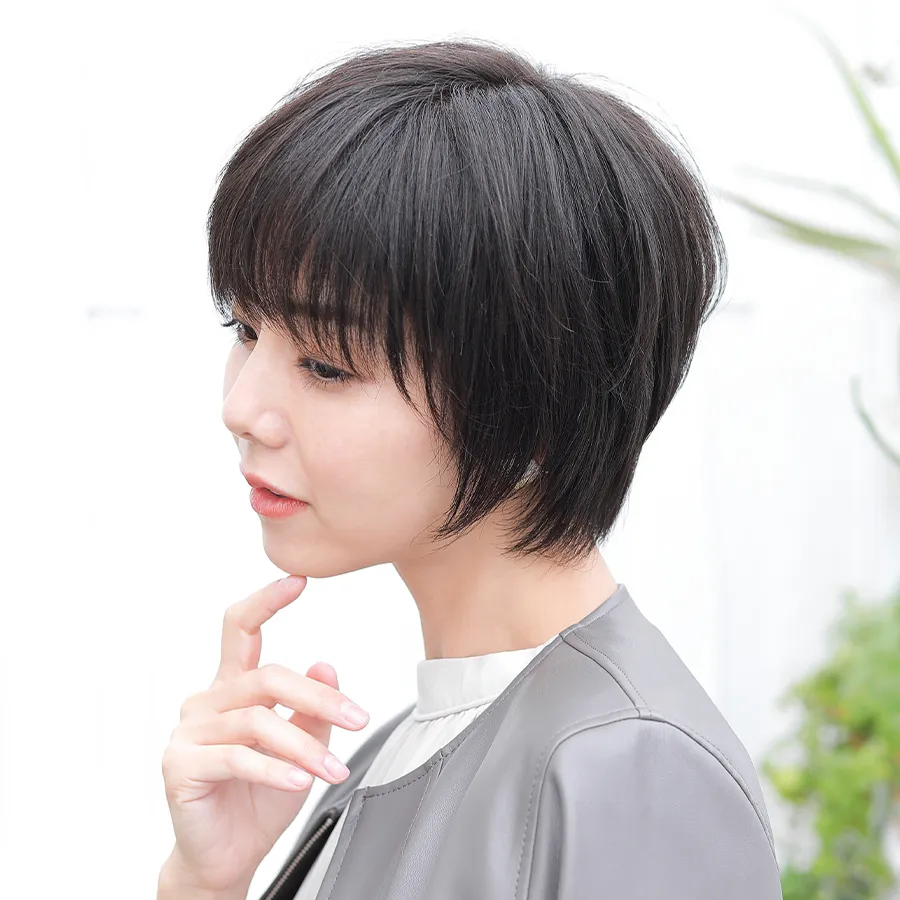 ×pEBbOE~[/~[v~A/Gb`V[g ʐl̐FCoV[gX^C̐lуEBbO