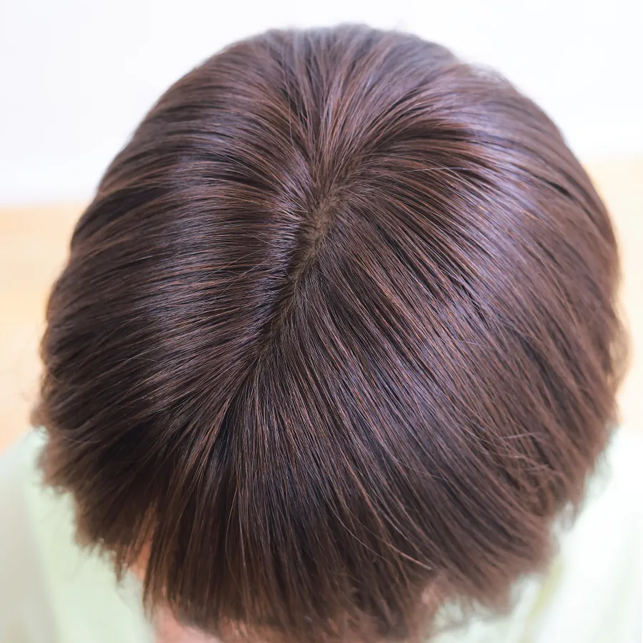 ×pEBbOE~[/~[v~A/_[V[g 